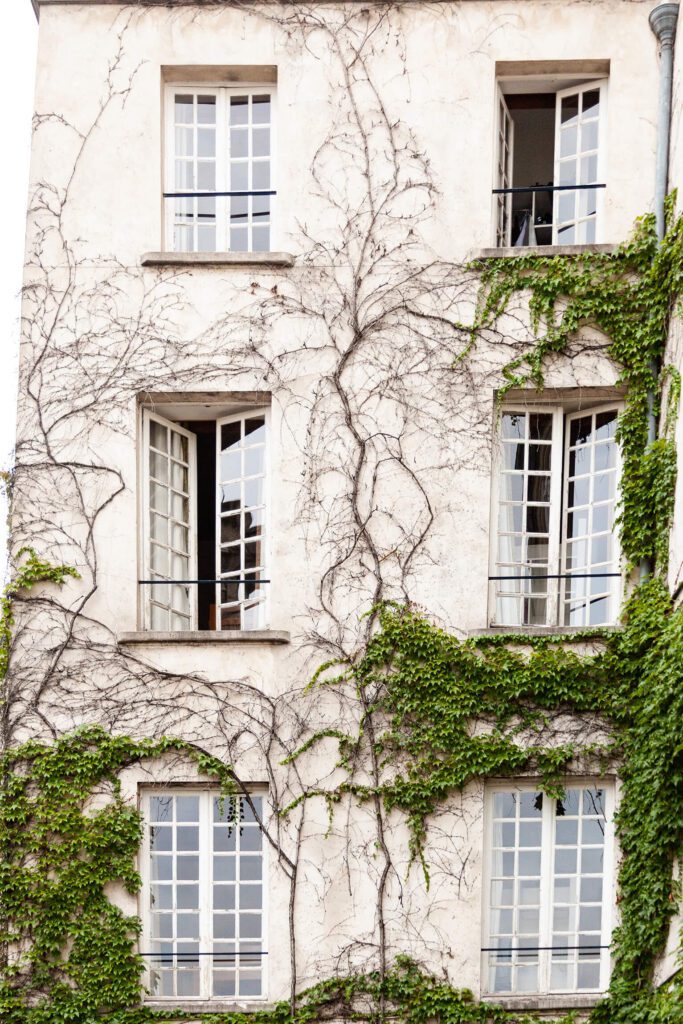 European wedding with white building with ivy